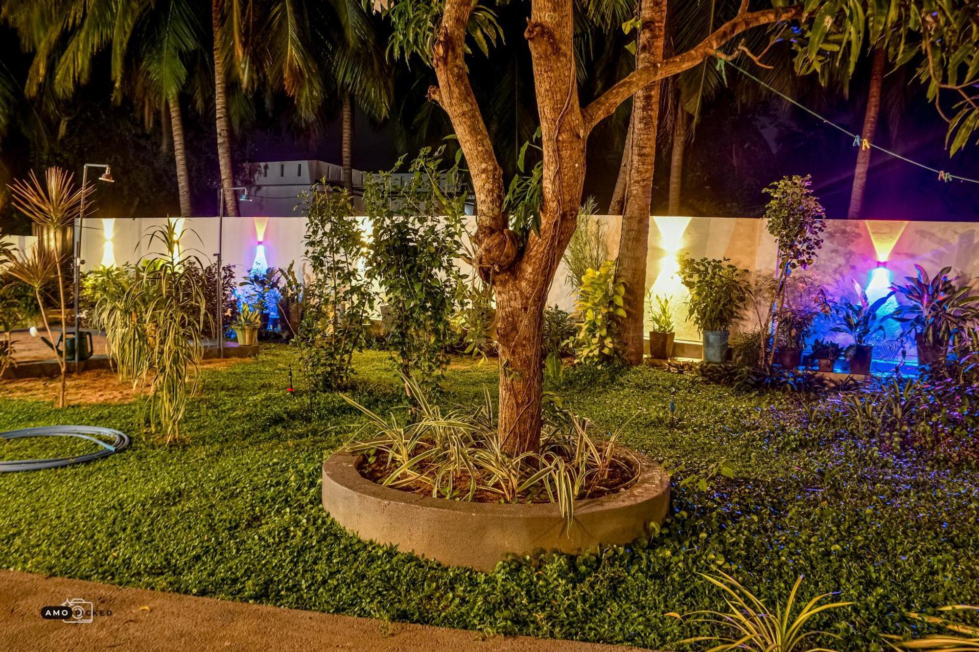 Coconut Villa Arugam Bay Exteriér fotografie