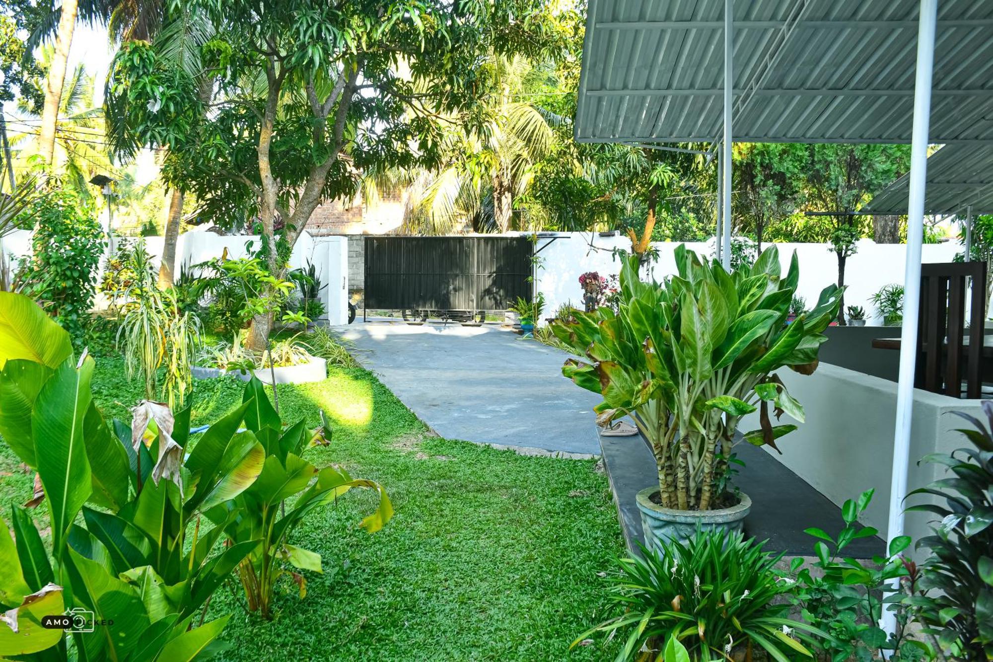 Coconut Villa Arugam Bay Exteriér fotografie